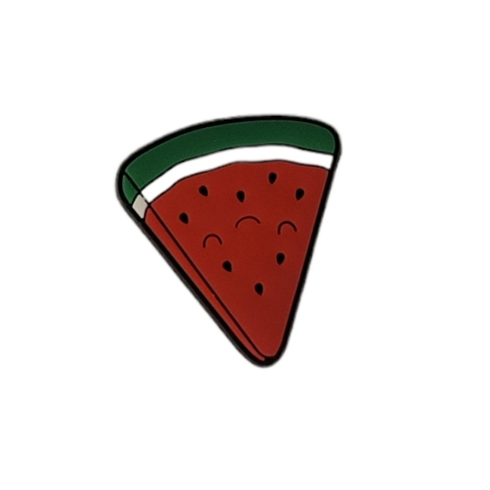 Watermelon Croc Charm